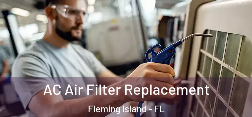  AC Air Filter Replacement Fleming Island - FL
