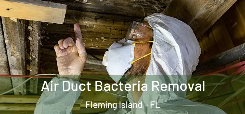  Air Duct Bacteria Removal Fleming Island - FL