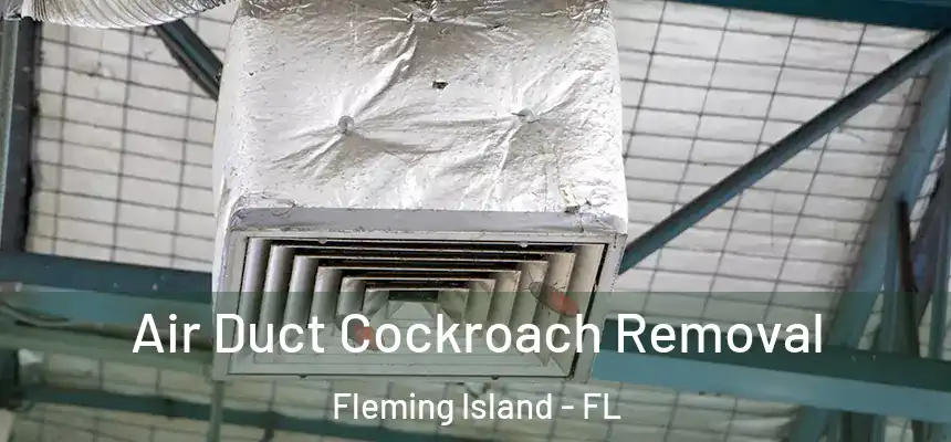 Air Duct Cockroach Removal Fleming Island - FL