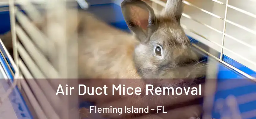 Air Duct Mice Removal Fleming Island - FL