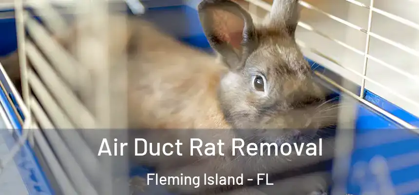 Air Duct Rat Removal Fleming Island - FL