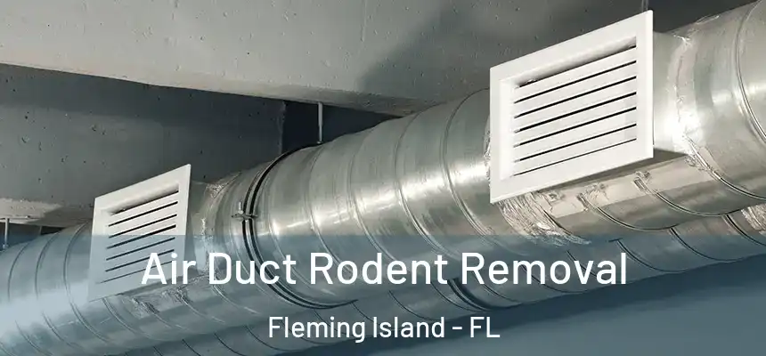 Air Duct Rodent Removal Fleming Island - FL