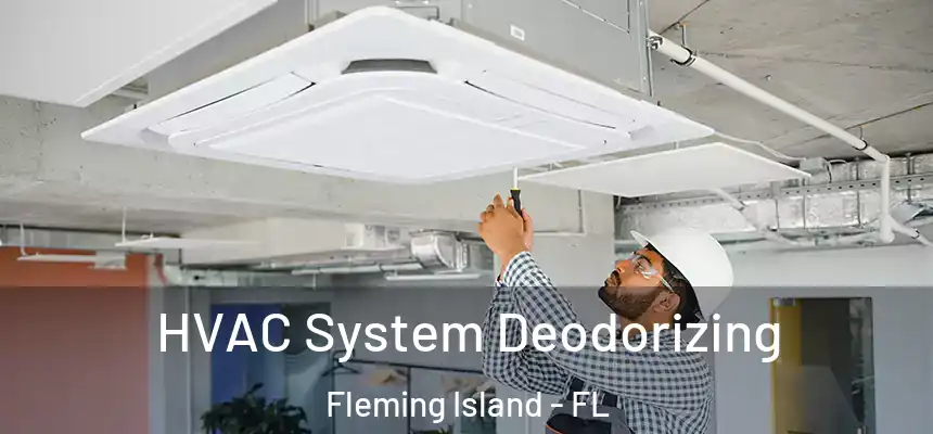 HVAC System Deodorizing Fleming Island - FL
