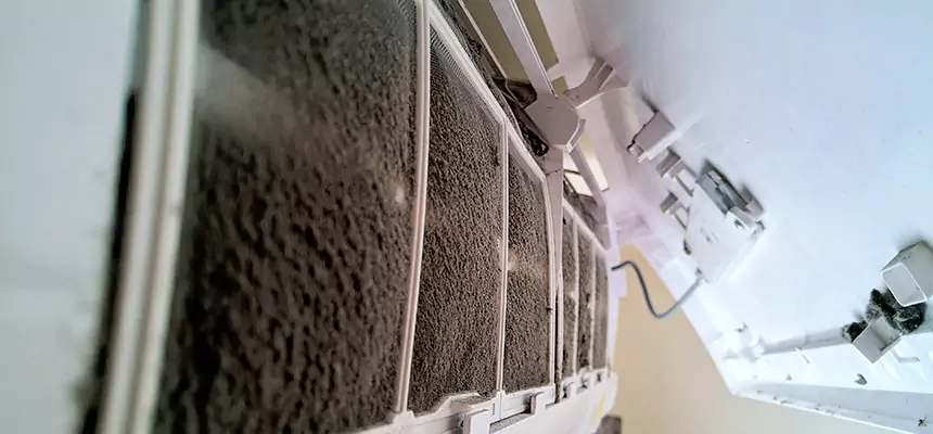 Preventive Air Duct Bacteria Removal in Fleming Island