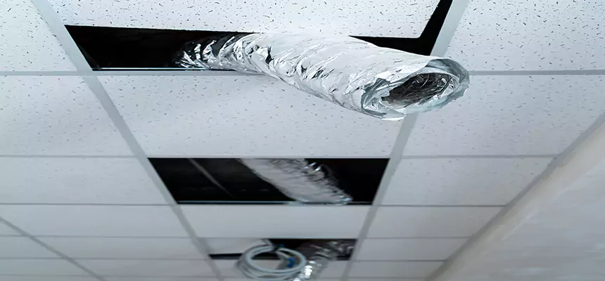 Our Air Duct Pet Hair Removal Services in Fleming Island, FL