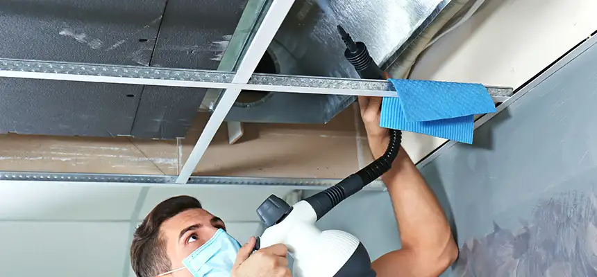 Our Air Duct Rodent Removal Services in Fleming Island, FL