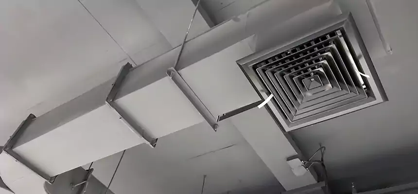 Restorative Allergy Relief Vent Cleaning – Coil, Blower & Housing Detail in Fleming Island