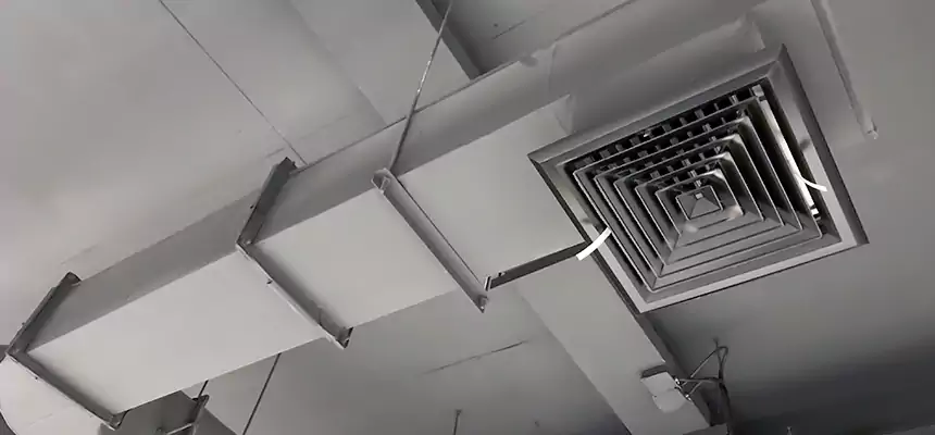 Our Pest Removal From Ducts Services in Fleming Island, FL