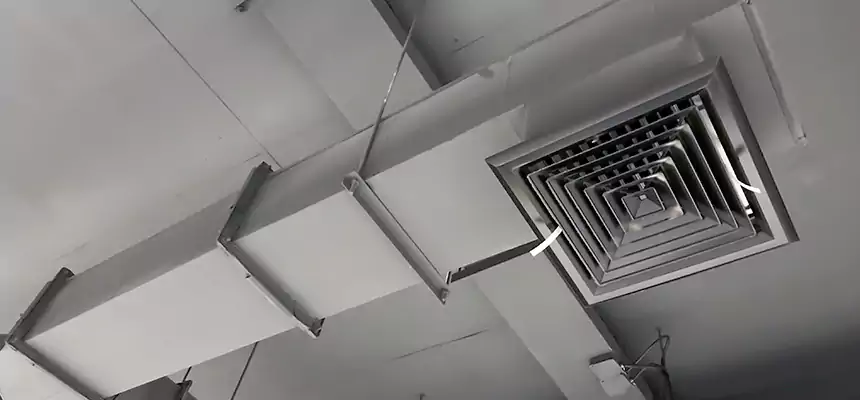 Our Rodent Droppings In Vents Services in Fleming Island, FL