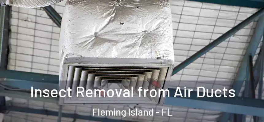 Insect Removal from Air Ducts Fleming Island - FL