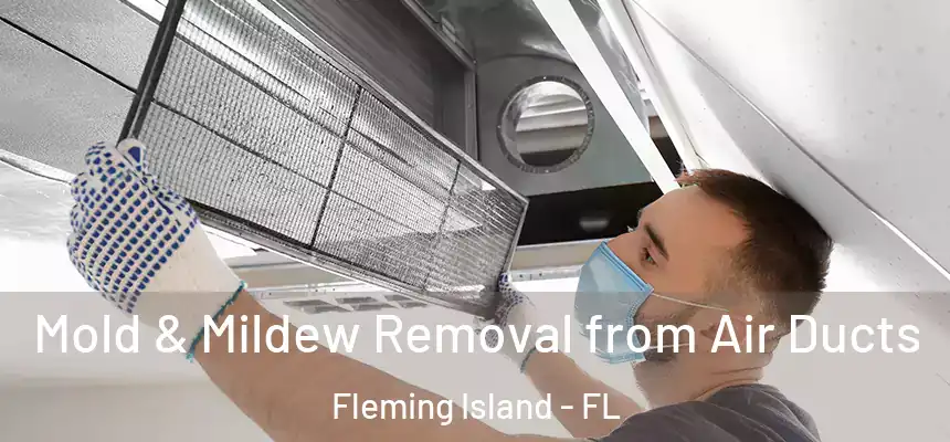 Mold & Mildew Removal from Air Ducts Fleming Island - FL
