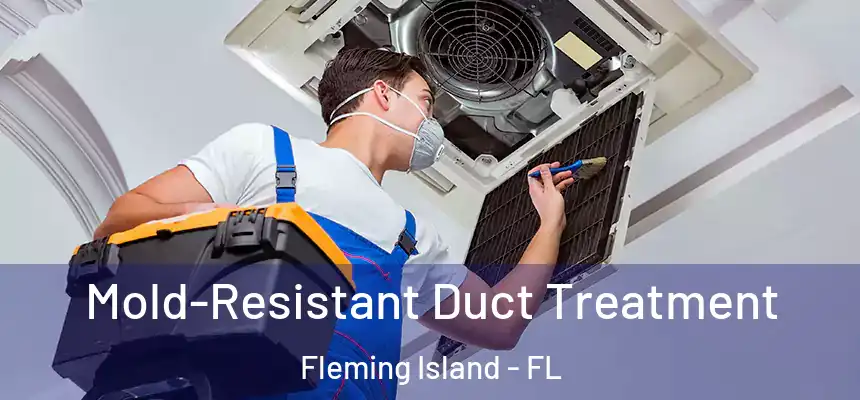 Mold-Resistant Duct Treatment Fleming Island - FL