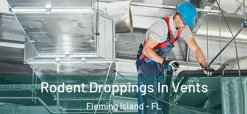  Rodent Droppings In Vents Fleming Island - FL