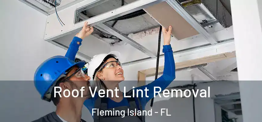 Roof Vent Lint Removal Fleming Island - FL