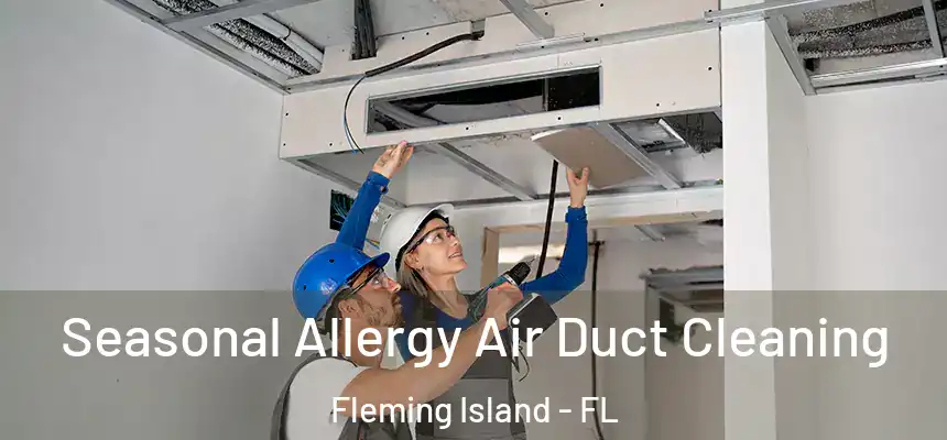 Seasonal Allergy Air Duct Cleaning Fleming Island - FL