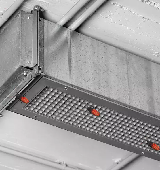 About Air Duct Cockroach Removal in Fleming Island, FL