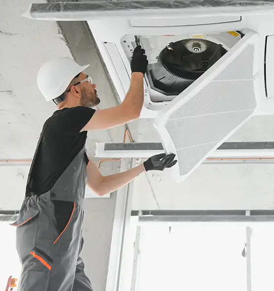 About Air Duct Rodent Removal in Fleming Island, FL