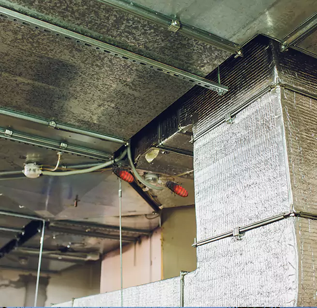 Why Homeowners & Businesses Trust Us in Fleming Island, FL?