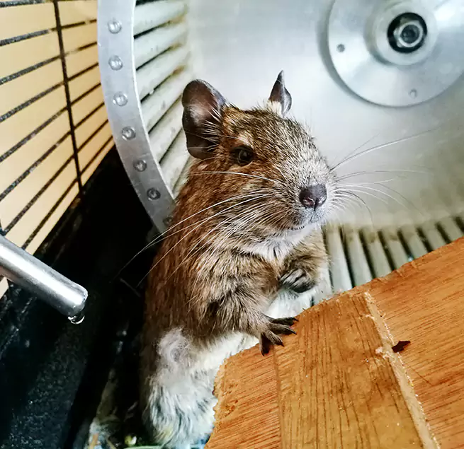 Why Homeowners & Businesses Trust Us Fleming Island, FL