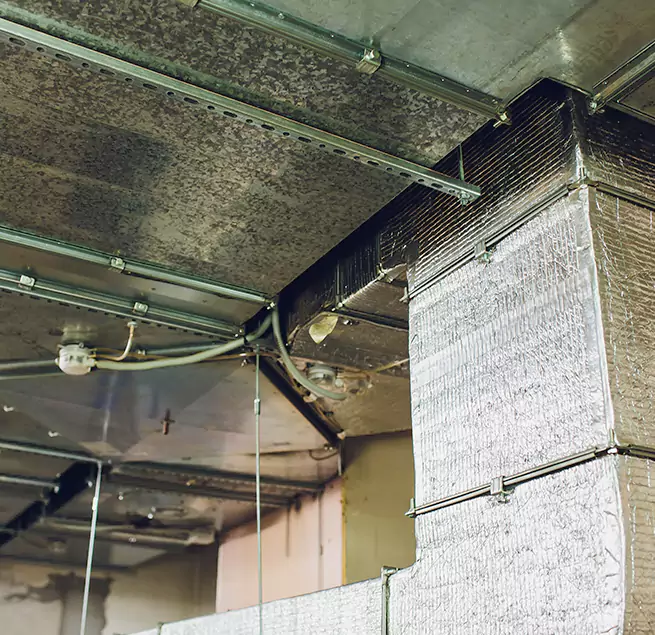 Why Homeowners & Businesses Trust Us in Fleming Island, FL?