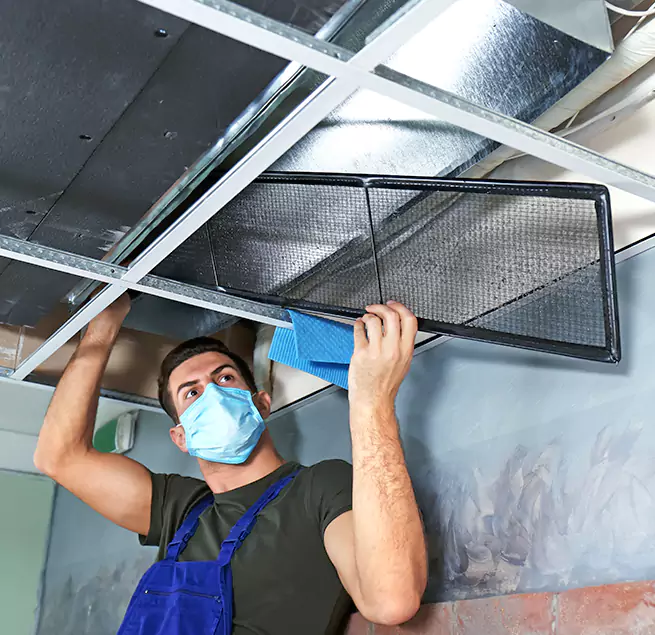 Why Homeowners Businesses Trust Us in Fleming Island, FL?